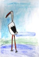 Kontuľová Barbora.jpg